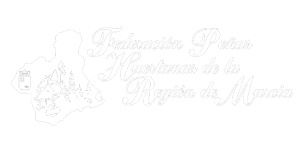 cliente federación de peñas de empresa seo Vértigo Marketing